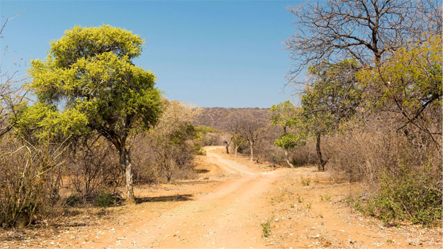 A gravel road in Botswana